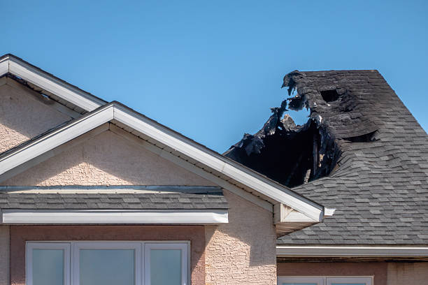 Top rated local Odor Removal specialists in Morristown, NJ